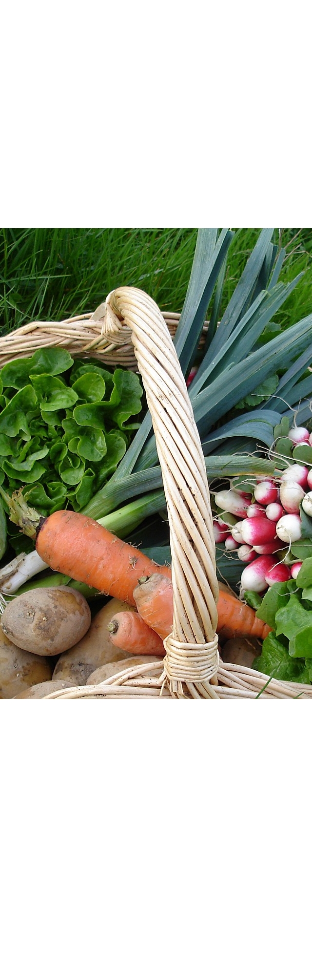 A is for Agriculture bio